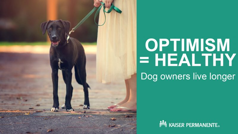 optimism_dogowners2